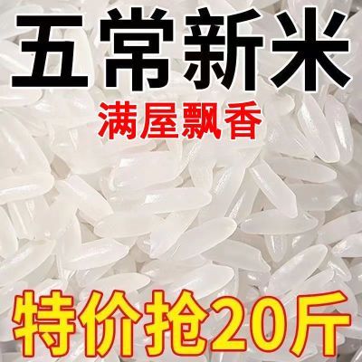 【特价新米】正宗五常长粒香米10斤20斤大米新米农家5斤精选