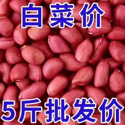 【5斤大降价】红皮花生米农家小粒生花生仁四粒红红衣花生米50