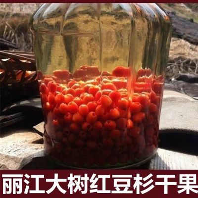 云南中药材红豆杉果子干果果实紫杉醇正品250克泡酒红豆杉干果