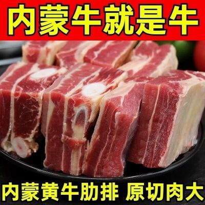 黄膘牛排草原正宗肋排清真内蒙古散养黄牛新鲜原切牛肉排骨商用