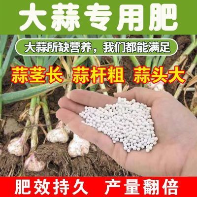 大蒜猛长大蒜专用肥膨大素防干尖防病害增产粗壮高产专用新型肥料