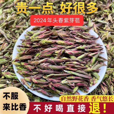 2024年云南头春茶野生紫芽苞茶古树白芽孢茶普洱茶生茶野花香散茶