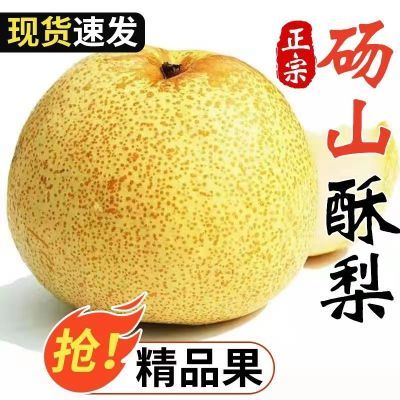 【批发价】正宗安徽砀山梨百年梨树当季新鲜现摘梨子皮薄批发包邮