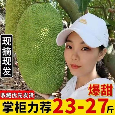 海南三亚黄肉菠萝蜜一整个新鲜水果爆甜波罗蜜整个假榴莲批发包邮