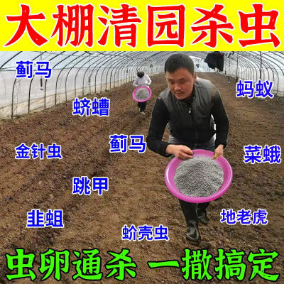 【地下害虫药】地下撒施颗粒剂 地下害虫专用药 撒施型