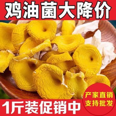 鸡油菌榆黄菇黄丝菌农家榆黄菌火锅云南菌子特产火锅爆炒新鲜500