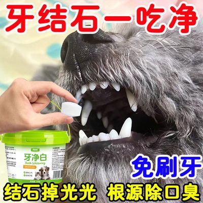 狗狗宠物牙净白溶解牙结石洁齿除臭宠物猫口臭牙石牙周清新护理