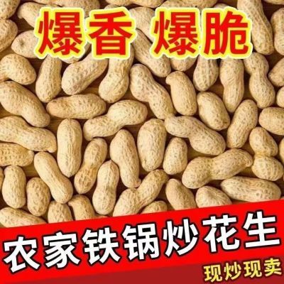 24新货农家原味炒花生柴火铁锅新鲜炒熟带壳批发零食坚果