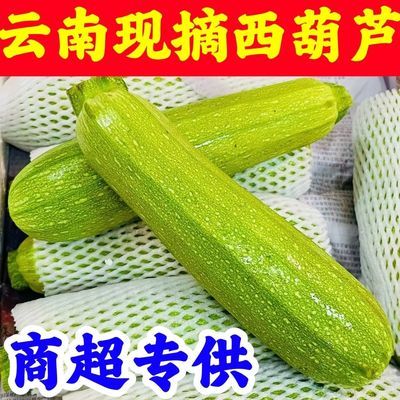 云南农家自种西葫芦新鲜蔬菜生瓜茭瓜现摘小瓜三月番瓜