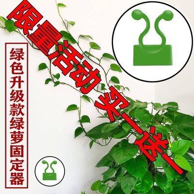 绿萝爬墙固定器家用植物挂钩藤蔓绿萝爬墙神器墙上固定无痕攀爬