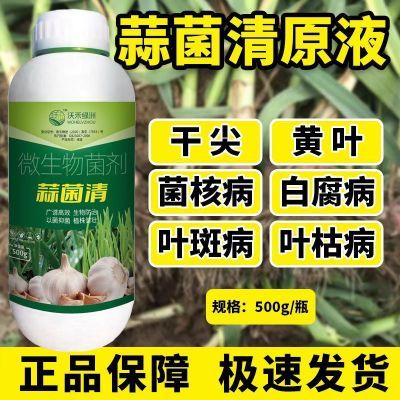 蒜菌清原液大蒜种植专用微生物生根养根粗壮补充营养肥料水溶农用