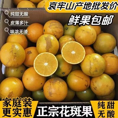 【24年新货】哀牢山褚硕橙花斑果当季新鲜水果薄皮化渣纯甜无籽