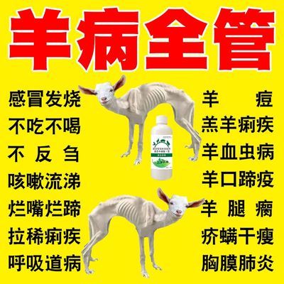 羊病全能药百病强效感冒发烧流鼻涕腹泻拉稀羊血虫病干吃不长暴瘦