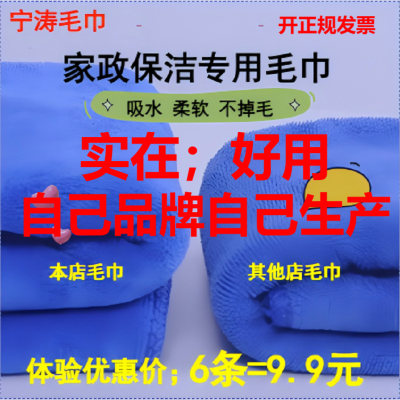 保洁专用抹布不掉毛吸水柔软速干加厚擦地无痕两用魔术扫把替换布