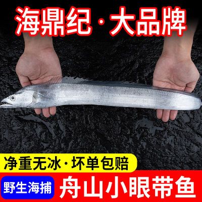 海鼎纪 舟山新鲜海捕冷冻整条带鱼当季海捕净重无冰深海刀鱼商用