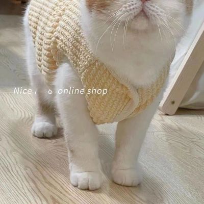 ins狗狗衣服春季薄款宠物猫咪衣服泰迪比熊茶杯犬小型犬衣服可爱