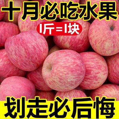 【爆甜】正宗陕西洛川红富士苹果当季新鲜冰糖心丑苹果孕妇吃整箱