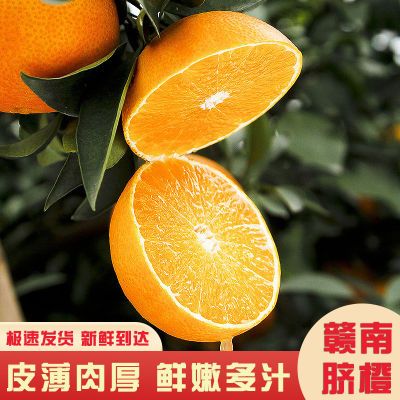 【现摘现发】正宗赣南脐橙当季特早橙子新鲜水果纽荷尔手剥甜橙子