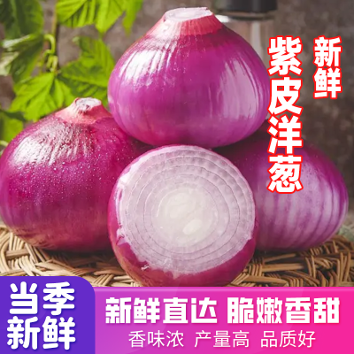 【小洋葱】紫皮洋葱 紫红洋葱头整箱批发农家蔬菜