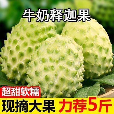 云南释迦果牛奶应季水果特大果番荔枝摩尼果佛头包邮林檎整箱清仓