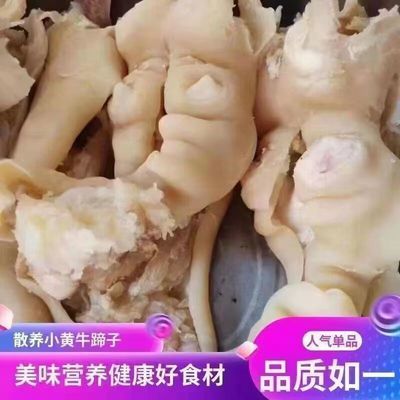 【现杀】去筋去骨牛蹄皮新鲜清真商用火锅食材半成品熟食牛肉类