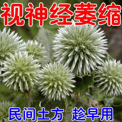 视神经萎缩视物模糊视野缺损变小眼干涩疲劳眼前黑影重影色觉异常