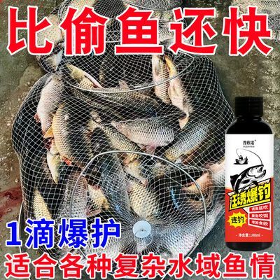 强效诱鱼剂钓鱼小药鲫鲤青草鲢鳙鱼鲤鱼饵料窝料诱食野钓钓鱼饵料