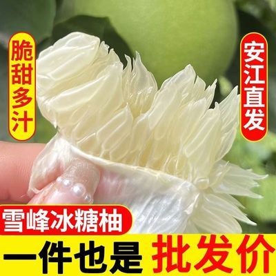 正宗安江雪峰冰糖柚小个薄皮新鲜黄心蜜柚蜂糖福建黄金葡萄柚