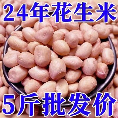 9原种现剥花生米2024新货花生粉皮新鲜大粒榨油粉红白沙花花