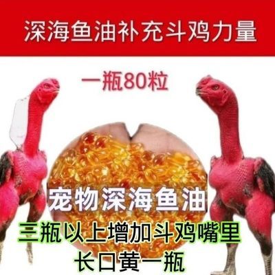 【厂家直销】宠物深海胶囊补充斗鸡力量提高战斗力猫狗拘斗鸡浓缩