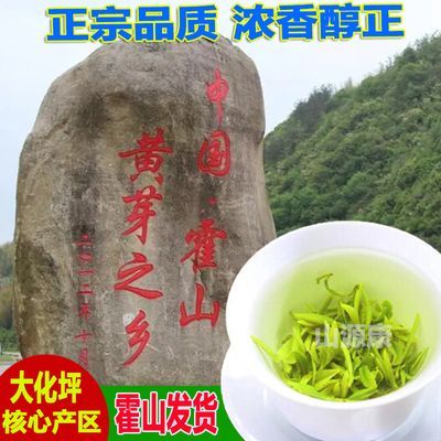 【新茶黄大茶正宗谷雨安徽霍山黄芽2024】闷黄炭火茶浓香黄茶袋装