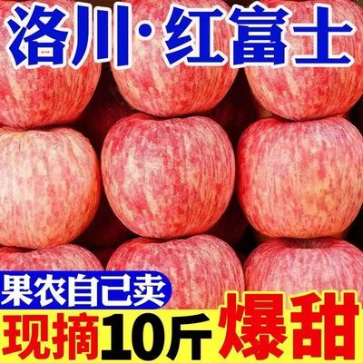 2024爆甜】陕西洛川红富士苹果新鲜脆甜冰糖苹果当季水果整箱批发