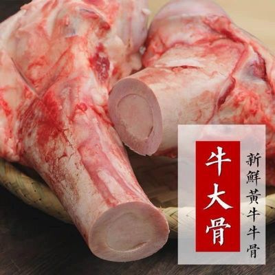 新鲜现杀牛腿骨牛棒骨牛筒子骨牛骨头网红牛棒骨熬汤商用牛骨髓