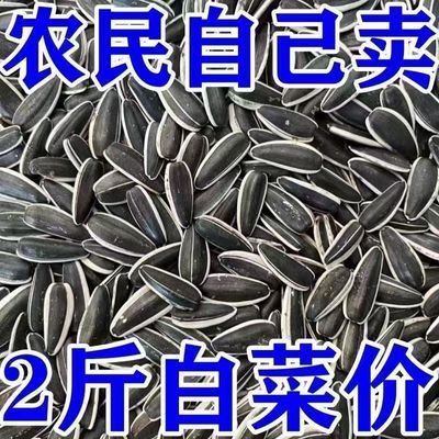 瓜子新货内蒙古新鲜2024葵花籽原味炒熟批发颗粒散装炒货零食