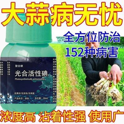 大蒜专用药蒜苗病全治防黄叶干尖锈病紫斑病根腐病大蒜专用杀菌剂