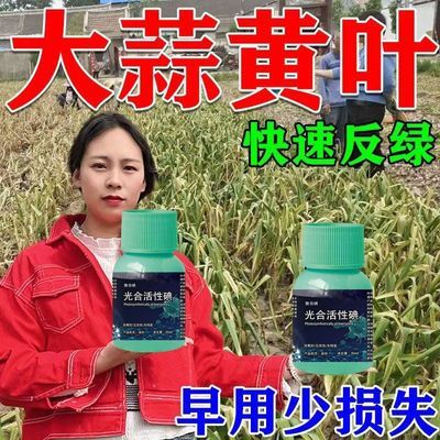 大蒜专用药蒜苗病全治防黄叶干尖锈病紫斑病根腐病大蒜专用杀菌剂