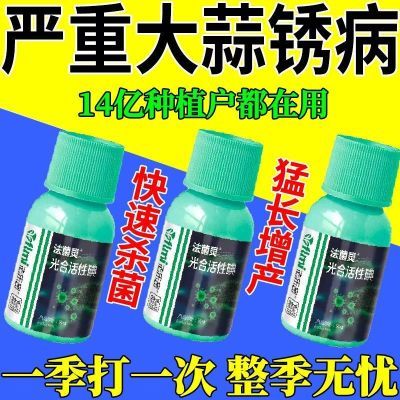 大蒜杀菌剂大蒜干尖黄叶大蒜死苗烂根锈病叶枯病紫斑病大蒜病全治