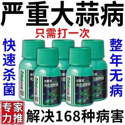 大蒜专用药大蒜病全治黄叶干尖锈病紫斑病根腐病蒜苗专用杀菌剂