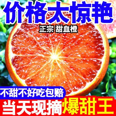 【当天摘】正宗果冻血橙当季新鲜水果塔罗科果冻橙子脐橙冰糖甜橙