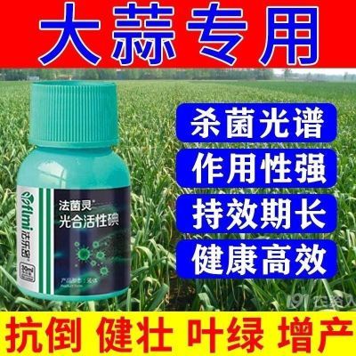 【大蒜专用药杀菌剂全治大蒜专用药根腐病叶枯菌核病干尖黄叶病】