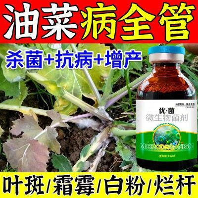 油菜防病专用药油菜病全治菌核病黑斑霜霉病白锈病黄叶农用杀菌剂