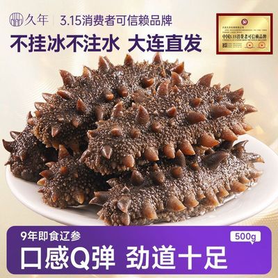 久年大连即食辽参优质9年野生底播500g特价新鲜辽刺参天然正品