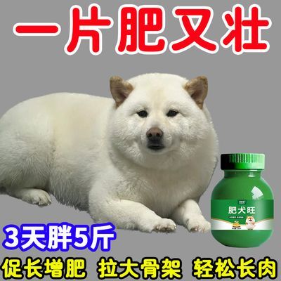 狗狗增肥傻吃猛涨快速育肥粉调理肠胃长胖长肉强壮体格狗狗营养品