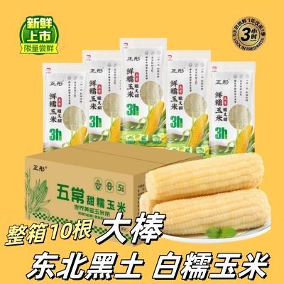 东北白糯玉米整箱10根大棒260g-320g/根香甜软糯