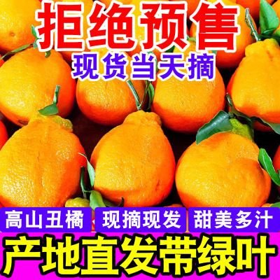 【甜蜜蜜】四川春见耙耙柑粑粑柑当季新鲜水果丑橘子超甜薄皮桔子