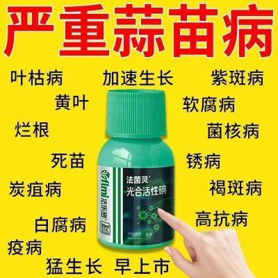 大蒜专用药大蒜病全治黄叶干尖锈病紫斑病根腐病蒜苗专用杀菌剂