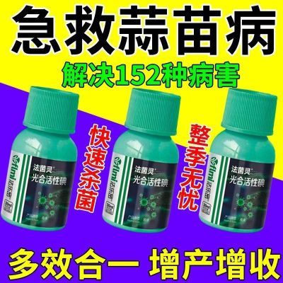 大蒜专用药蒜苗病全治防黄叶干尖锈病紫斑病根腐病大蒜专用杀菌剂