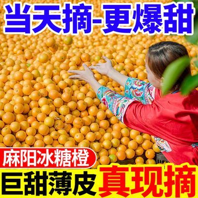 【超甜】湖南麻阳冰糖橙当季新鲜橙子批发应季现摘黄皮橙甜橙脐橙