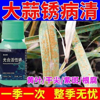 大蒜病杀菌剂大蒜专用药蒜苗专用药根腐病叶枯菌核病干尖黄叶全治