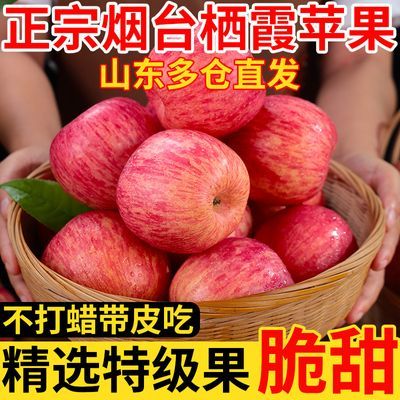 正宗山东烟台红富士苹果脆新鲜水果冰糖心栖霞条纹苹果一整箱批发